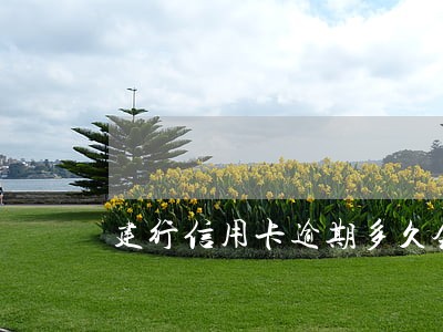 建行信用卡逾期多久会被催款 建行信用卡逾期多久会被催款
