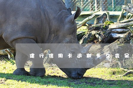 建行信用卡逾期多久变呆账