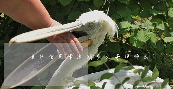建行信用卡逾期多久寄律师函 建行信用卡逾期多久寄律师函