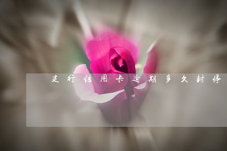 建行信用卡逾期多久封停