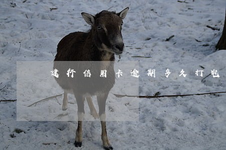 建行信用卡逾期多久打电话催款 建行信用卡逾期多久打电话催款