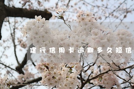 建行信用卡逾期多久短信提醒 建行信用卡逾期多久短信提醒