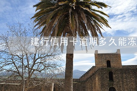 建行信用卡逾期多久能冻结