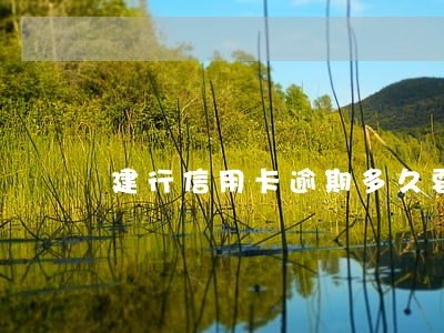 建行信用卡逾期多久要全额还 建行信用卡逾期多久要全额还