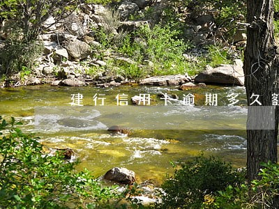 建行信用卡逾期多久额度会降 建行信用卡逾期多久额度会降
