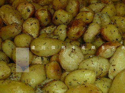 建行信用卡逾期多少天怎么查
