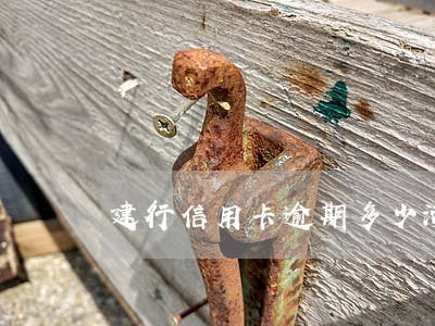建行信用卡逾期多少滞纳金 建行信用卡逾期多少滞纳金