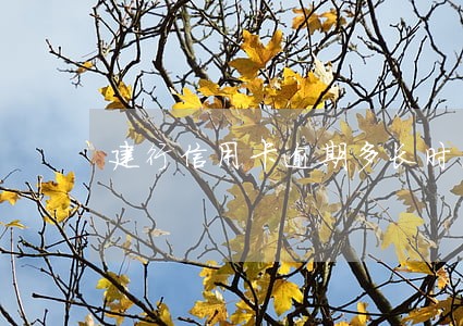 建行信用卡逾期多长时间上黑名 建行信用卡逾期多长时间上黑名