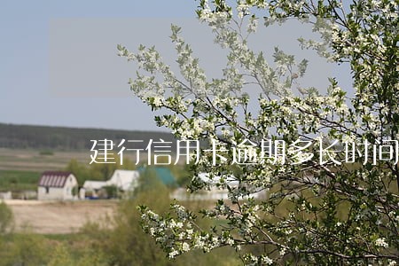 建行信用卡逾期多长时间会停息 建行信用卡逾期多长时间会停息