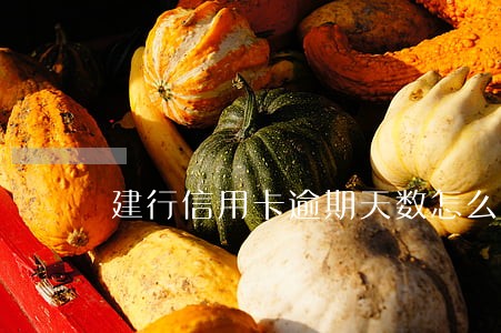 建行信用卡逾期天数怎么看 建行信用卡逾期天数怎么看