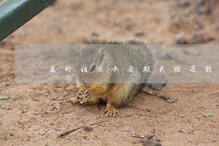 建行信用卡逾期失效还能申请吗