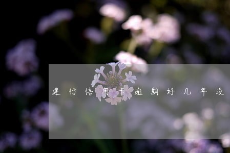 建行信用卡逾期好几年没还 建行信用卡逾期好几年没还