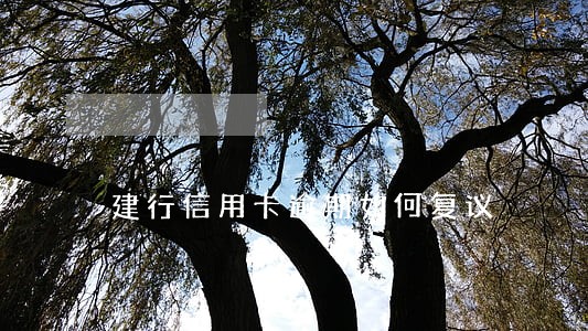 建行信用卡逾期如何复议