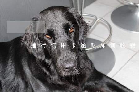 建行信用卡逾期如何收费