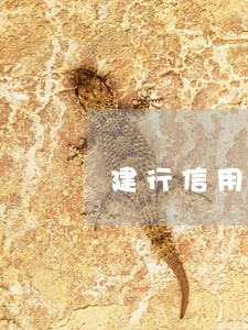建行信用卡逾期如何计息 建行信用卡逾期如何计息