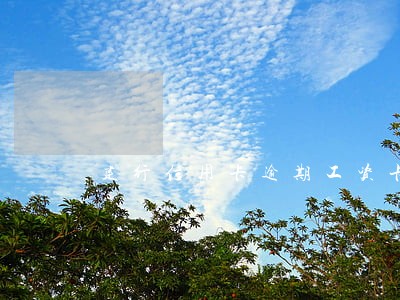 建行信用卡逾期工资卡秒扣 建行信用卡逾期工资卡秒扣