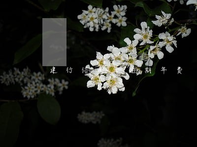建行信用卡逾期年费 建行信用卡逾期年费