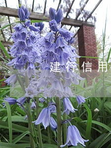 建行信用卡逾期开新卡