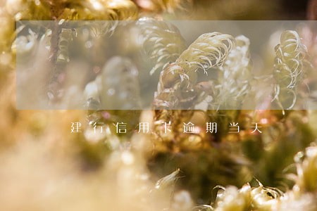 建行信用卡逾期当天 建行信用卡逾期当天