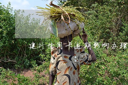 建行信用卡逾期影响办理房贷吗 建行信用卡逾期影响办理房贷吗