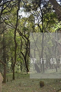 建行信用卡逾期影响还款吗