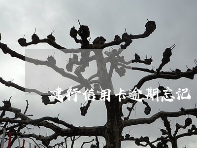 建行信用卡逾期忘记 建行信用卡逾期忘记
