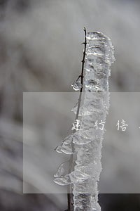 建行信用卡逾期怎么办理储蓄卡 建行信用卡逾期怎么办理储蓄卡
