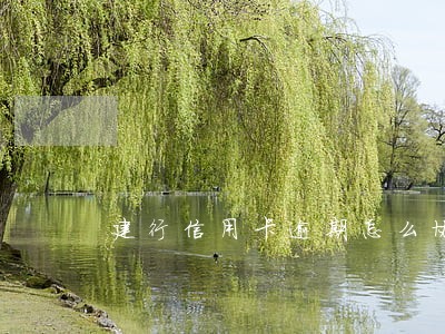 建行信用卡逾期怎么协商一次结清 建行信用卡逾期怎么协商一次结清