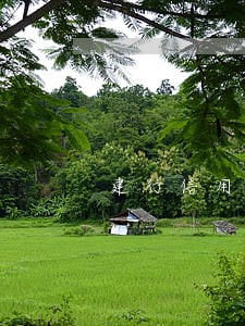 建行信用卡逾期怎么处理 建行信用卡逾期怎么处理