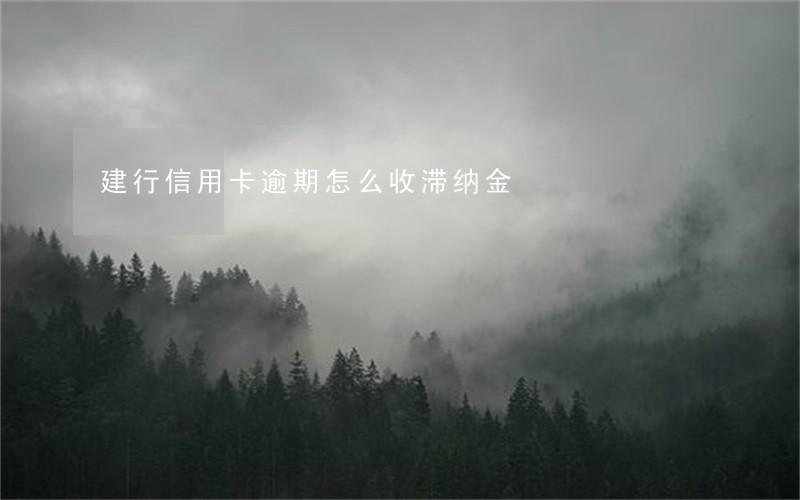 建行信用卡逾期怎么收滞纳金 建行信用卡逾期怎么收滞纳金