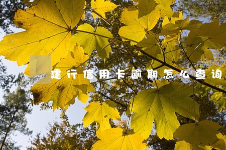 建行信用卡逾期怎么查询进度 建行信用卡逾期怎么查询进度