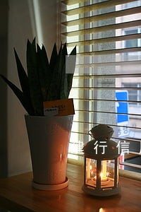 建行信用卡逾期怎么联系银行