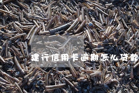 建行信用卡逾期怎么贷款 建行信用卡逾期怎么贷款