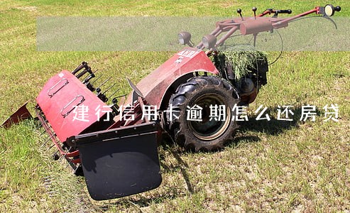 建行信用卡逾期怎么还房贷 建行信用卡逾期怎么还房贷