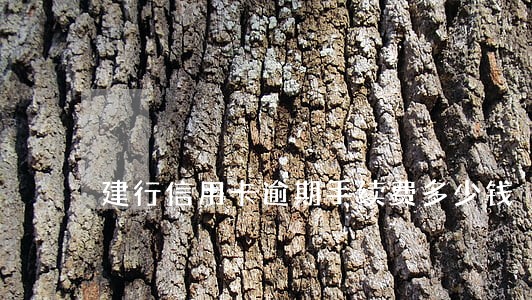 建行信用卡逾期手续费多少钱 建行信用卡逾期手续费多少钱