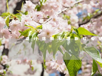 建行信用卡逾期打电话 建行信用卡逾期打电话