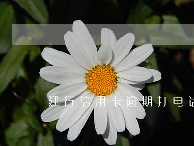 建行信用卡逾期打电话会说什么