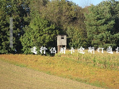 建行信用卡逾期打通讯录 建行信用卡逾期打通讯录