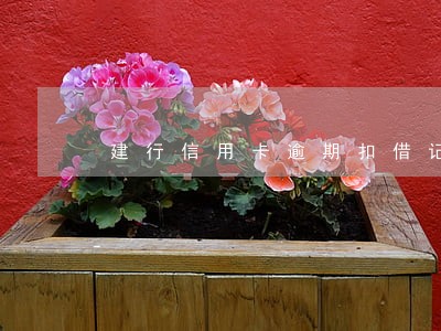 建行信用卡逾期扣借记卡 建行信用卡逾期扣借记卡