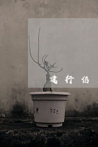 建行信用卡逾期扣储蓄卡的钱 建行信用卡逾期扣储蓄卡的钱