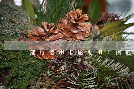 建行信用卡逾期扣工资吧 建行信用卡逾期扣工资吧