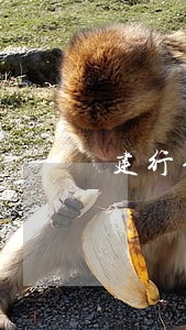 建行信用卡逾期扣钱吗