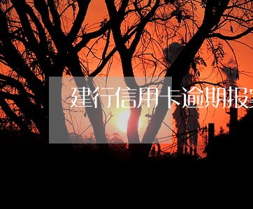 建行信用卡逾期报案了怎么办 建行信用卡逾期报案了怎么办