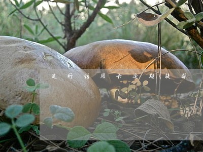 建行信用卡逾期提额 建行信用卡逾期提额