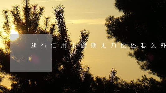建行信用卡逾期无力偿还怎么办 建行信用卡逾期无力偿还怎么办