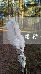 建行信用卡逾期最多减多少 建行信用卡逾期最多减多少