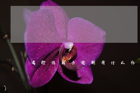 建行信用卡逾期有什么补救办法