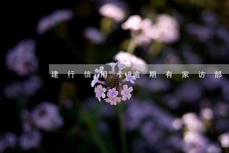 建行信用卡逾期有家访部吗 建行信用卡逾期有家访部吗