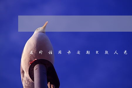 建行信用卡逾期欠款人老年痴呆 建行信用卡逾期欠款人老年痴呆