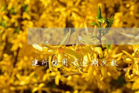 建行信用卡逾期次数 建行信用卡逾期次数